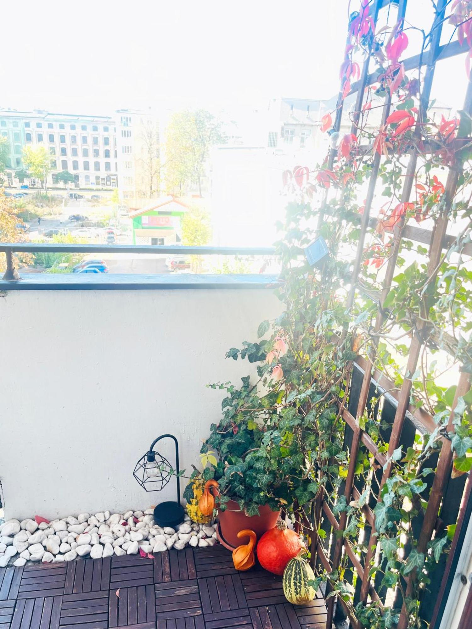 Apartament I Love Piotrkowska Z Wielkim Lustrem, Balkonem I Klimatyzacja Łódź Buitenkant foto